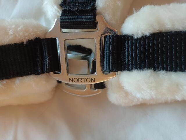 Licol Norton Mouton