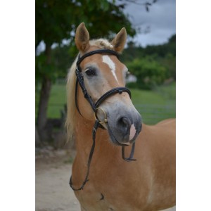 Filet Dy'on Taille cheval