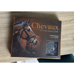 coffret "les plus beaux chevaux du monde"