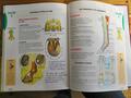 Livre Galops 5 et 6