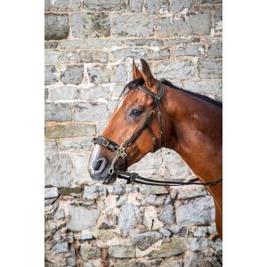 Bridon Hackamore Dyon Neuf