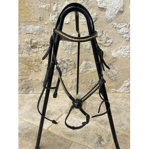 Bridon poney