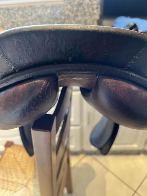 selle pessoa x butet