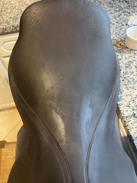 selle pessoa x butet