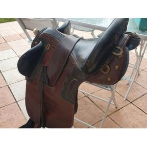 Selle Australienne