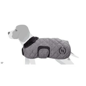 Manteau chien hiver