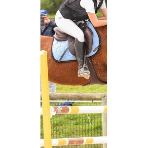 Tapis equidees