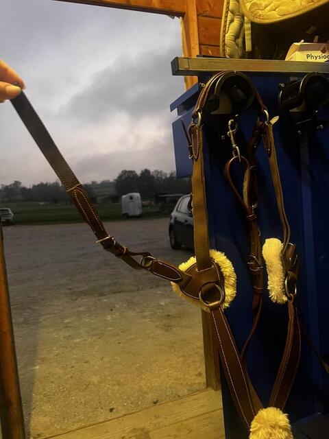 collier de chasse martingale 5 point