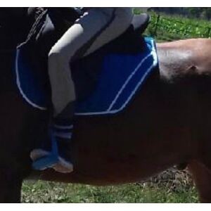 tapis couper sport
