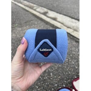 Bande de polo lemieux