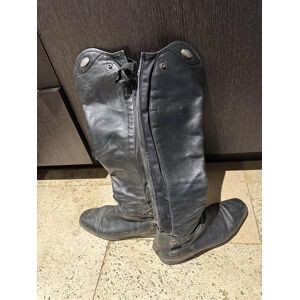 botte parlanti Denver