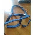 Licol poney bleu marine