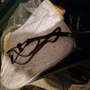 Martingale élastique