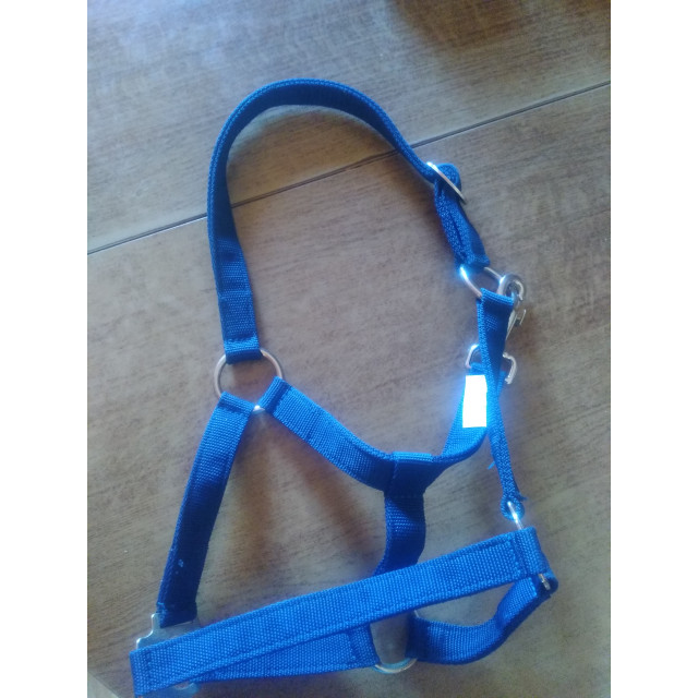 Licol poney bleu marine