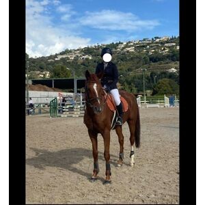 Veste de concours Equithème
