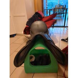Selle zaldi olympic 17,5