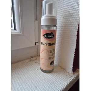 easyshine mousse détachant