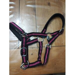 Licol taille poney