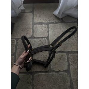 licol cuir