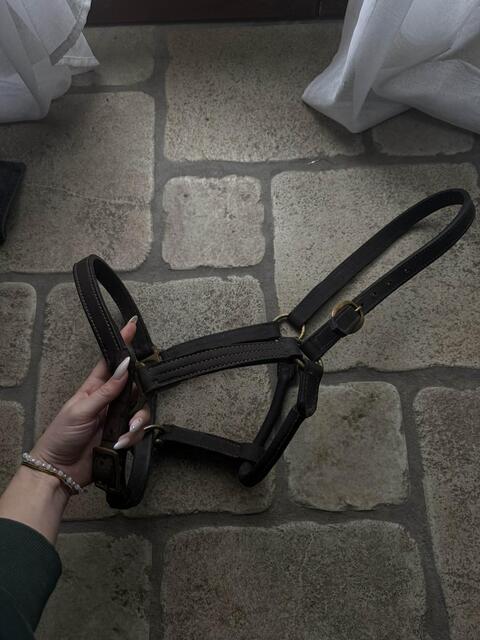 licol cuir