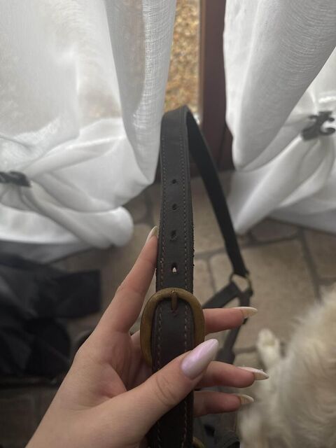 licol cuir