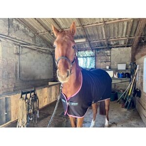 chemise séchante Horseware amigo