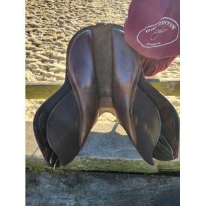 Selle guy cantin