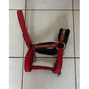 licol poney