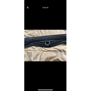 Sangle