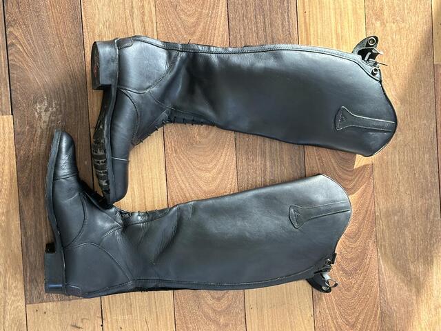 Bottes mountain horse