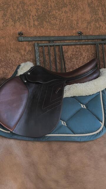 Selle Renaissance M 18 ( prestige)