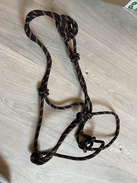 licol hkm éthologique