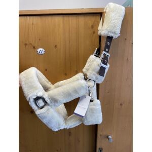 licol moumoute equitem