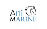 Ani Marine