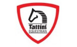 Tattini