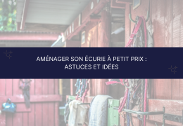 Aménager son écurie à petit prix : astuces et idées