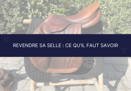Revendre sa selle d’équitation : ce qu’il faut savoir