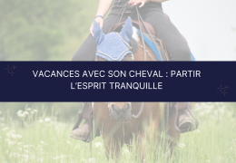 🐴 Vacances avec son cheval : solutions pour partir l’esprit tranquille