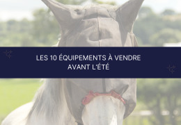 Les 10 équipements pour cheval et cavalier à vendre avant l’été